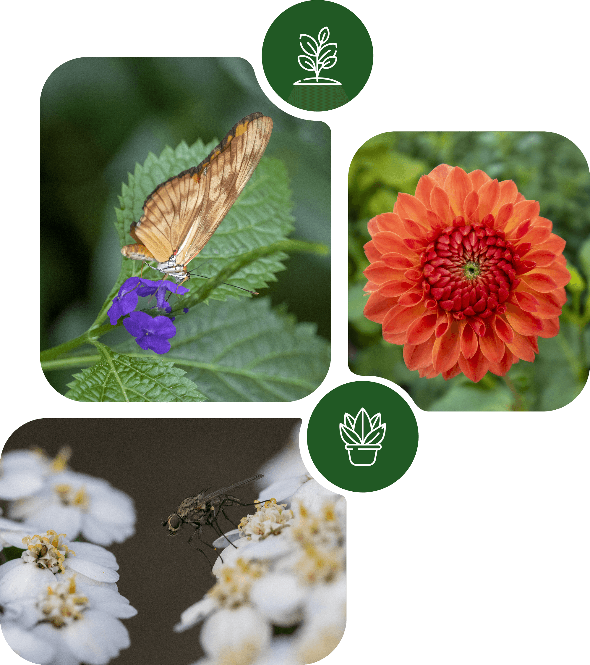 Where It All Began Collage